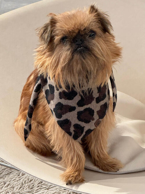 &Eacute;charpe pour chien laine-cachemire l&eacute;opard