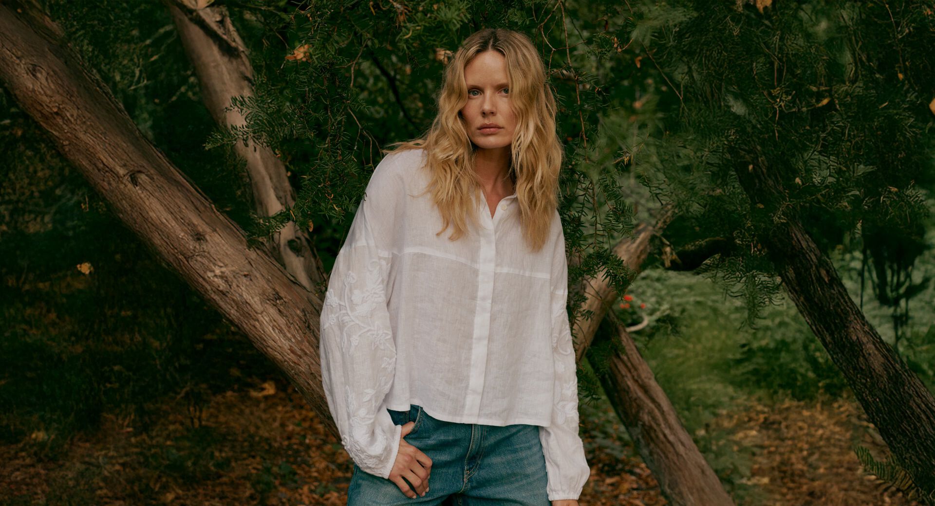 New Embroidered Blouses